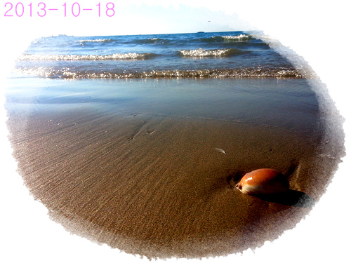 09b9a855970da3312229f7f33687822d.jpg