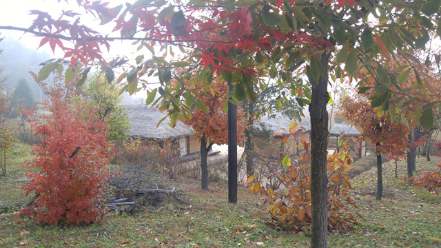 151980494f86dd86c8236ecc7c43aafe.jpg
