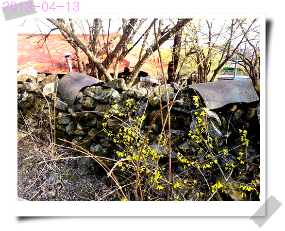 1ad6bbda9912789de21ac5b12ef89a6a.jpg