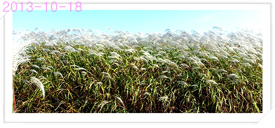 bd2fdbf6de6cb3dd2632d8738402ee59.jpg