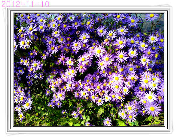 d750cb3017381d1747028f6ff2331cb9.jpg