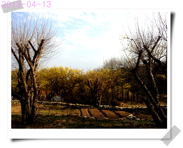 f60eb8a898f38fc60badf497ad5b16ec.jpg